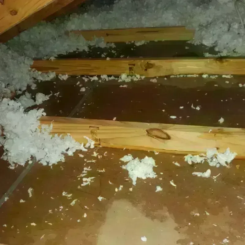 Attic Water Damage in White Pine County, NV